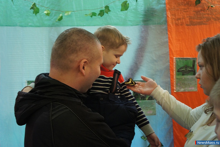 ������� ������� ����. �������� ����������� ������� �� 10 ������ ����� �������� � ��������� ������������� �����