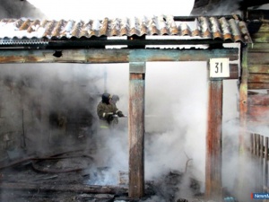 ���� ����� �������