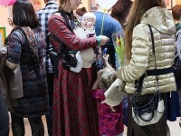 �������� ��������������