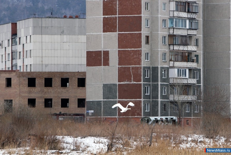 ������ "��������". ����� �������� � �����: � ����� ��������� ������ ��������� ����� - ������ � �����