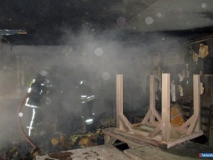 ���� ��������