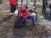 � ������ - ������� � �������