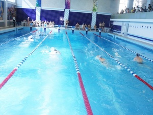 ������ ����� ������