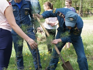 "��� ������" �������� �����