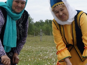 �������� ���������� �� �����