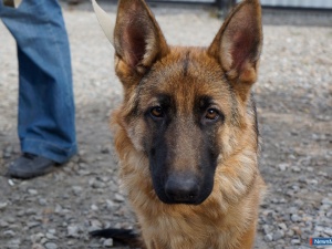 �������� ��������� ������������