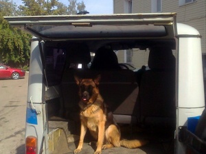 �������� ��������� ������������