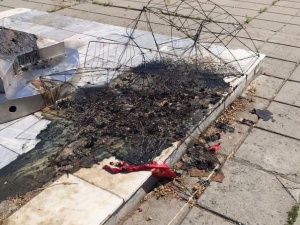 ������ ����?