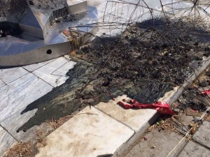 ������ ����?