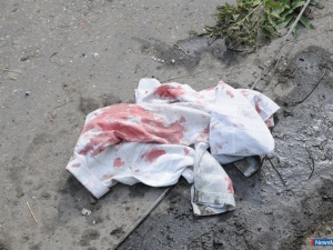 ������ � �������