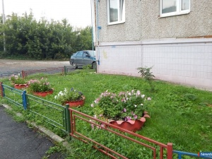 ����� ��������� �������, 41