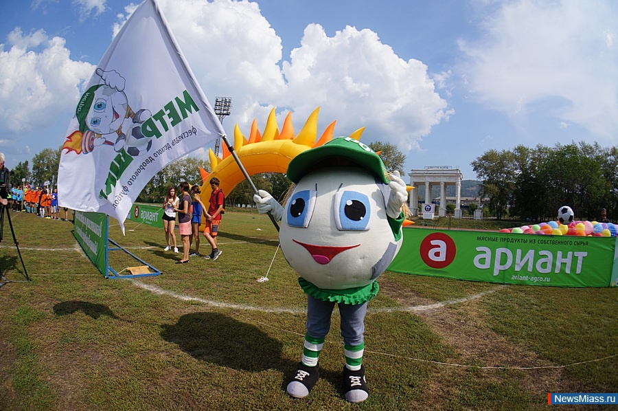 "-2016" .        18 -,       