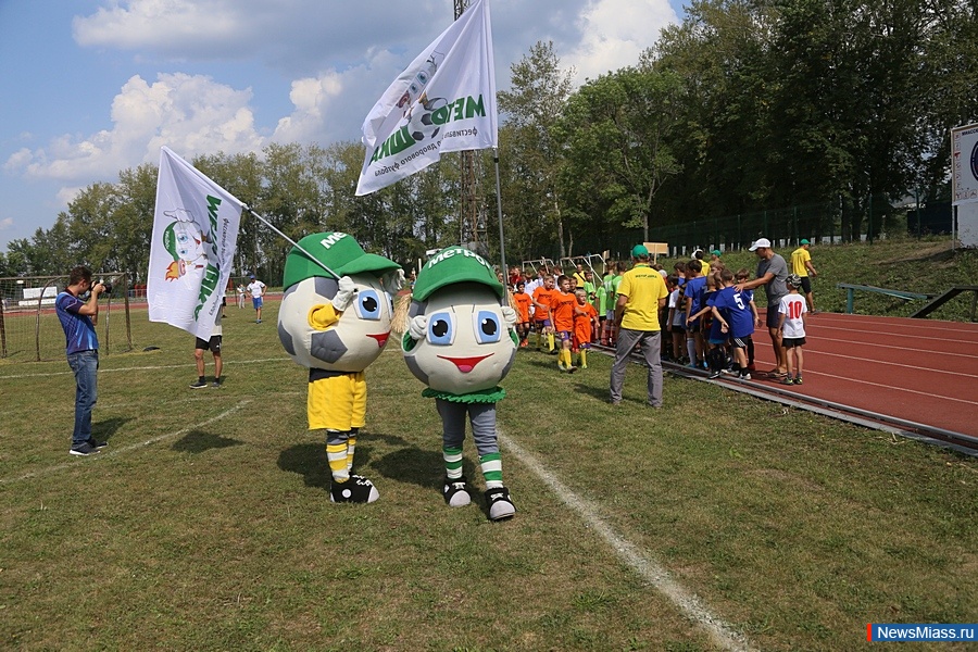 "-2016" .        18 -,       