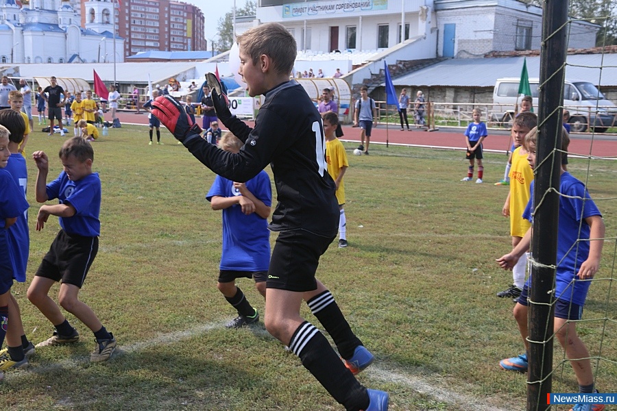 "-2016" .        18 -,       