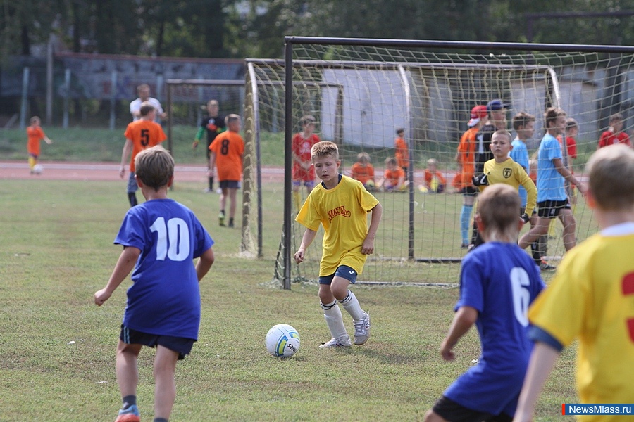 "-2016" .        18 -,       