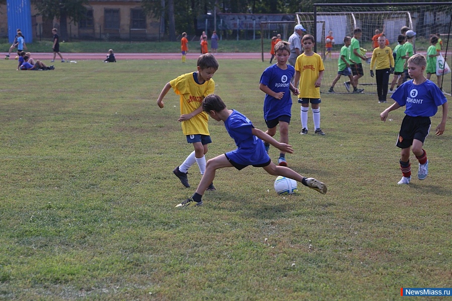 "-2016" .        18 -,       