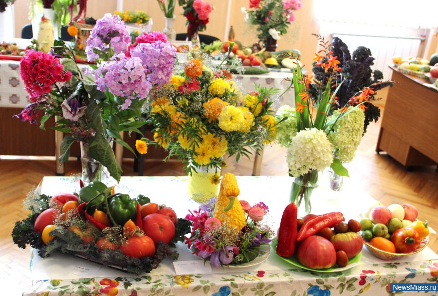 ����� ������ ������. � �������� �� "���" ������ �������� "������-2016"