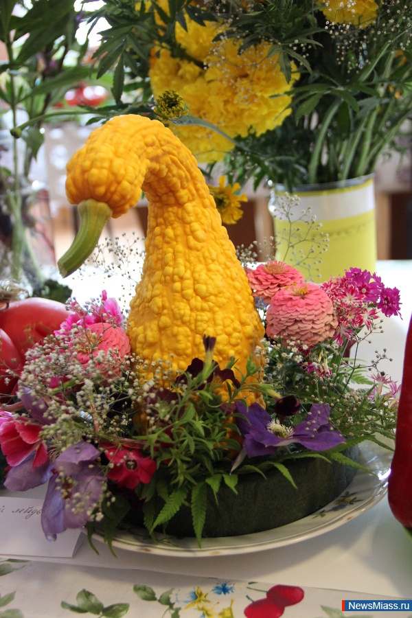 ����� ������ ������. � �������� �� "���" ������ �������� "������-2016"