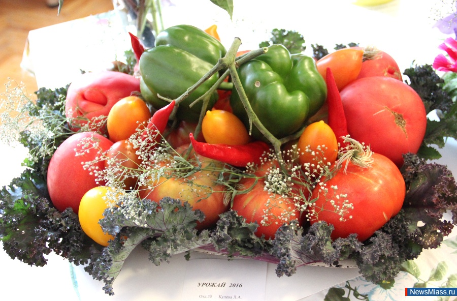 ����� ������ ������. � �������� �� "���" ������ �������� "������-2016"