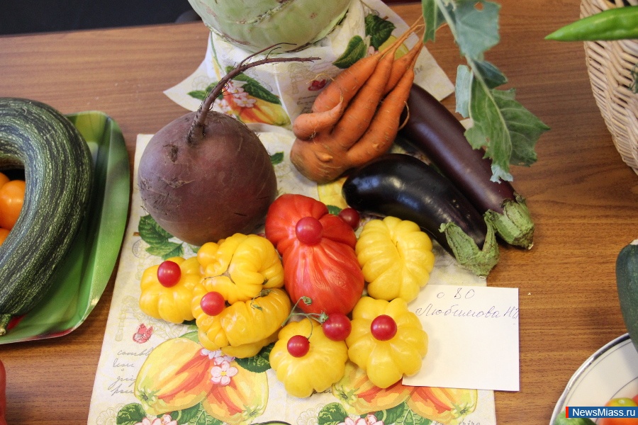 ����� ������ ������. � �������� �� "���" ������ �������� "������-2016"