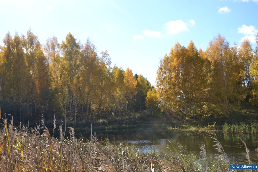  .   .       -    (    )     ( -     )