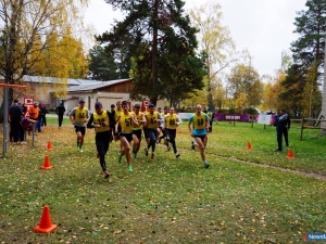 ����� ����������: �������������, ������ �����, �����