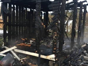 �� ����� ���� - ��������