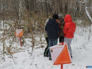 "��������" ��� ����������