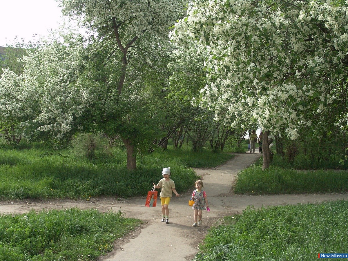 � ���� ��������, ������� �����. "���� ����� - ����� ������ ����� �� �����". ������ ��� - ������