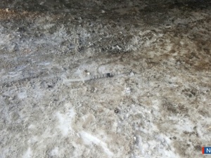 ���������� ���������