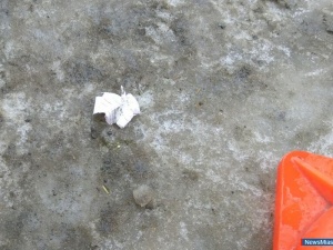 �������� � �����������?