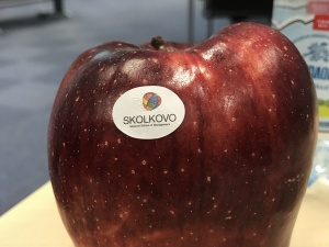 ����������� �������� �����������