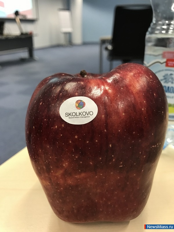   .   :        ,       ,    