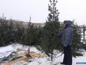 "� ��� ���, ���������"