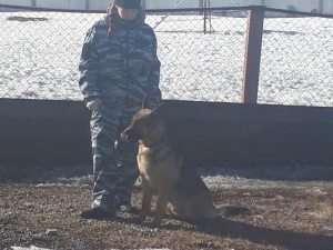 ������������� � ������������� "������������"