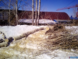 ������� ���� ��������