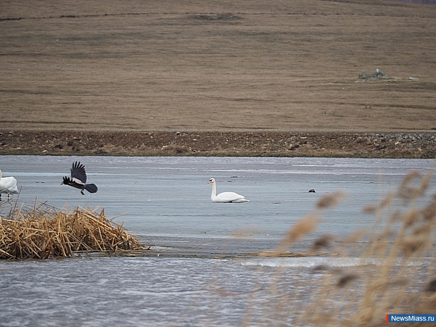 ����� ���������!. ��������� ����� � ������������ ������ ���������� ��������� ������