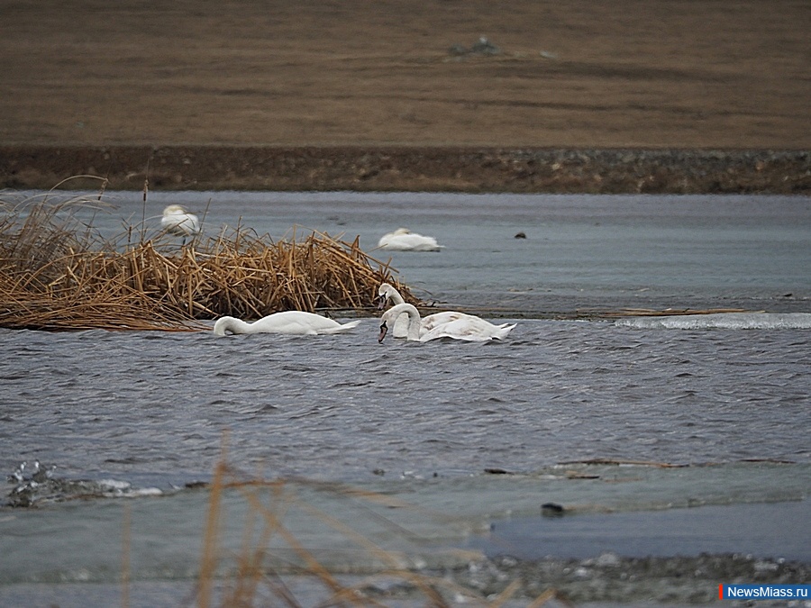 ����� ���������!. ��������� ����� � ������������ ������ ���������� ��������� ������