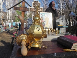 ������������ ���� ������ ��������