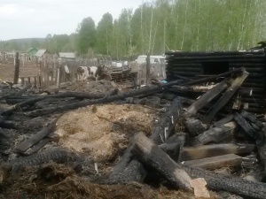 ����� �������� ������ ������� ��� ����� � ����