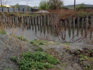 ��� � �� ���� ��������