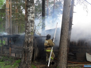 ����� ������ �����