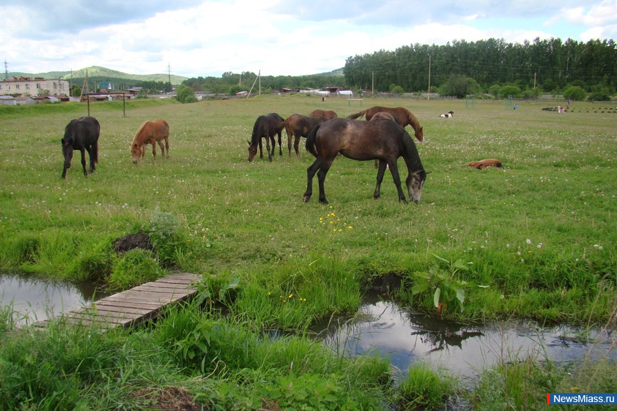  " ".           - " "