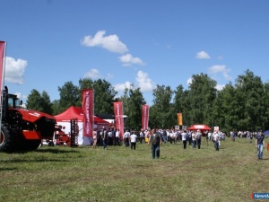 ���� ����