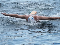 ������ � ��������� ��������� - ������