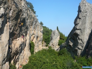 ���� - ��� ��������� ������