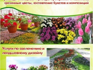 ����� �����