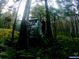 ��� ������ - ��� ������