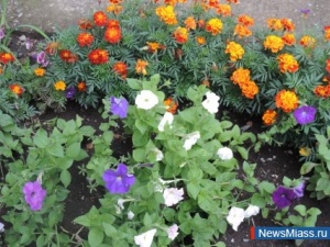 ��� ������ ���� �������� ����