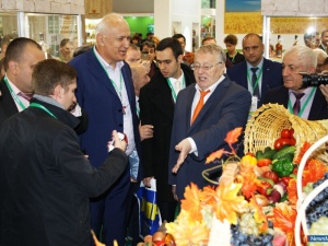 ������� ����������